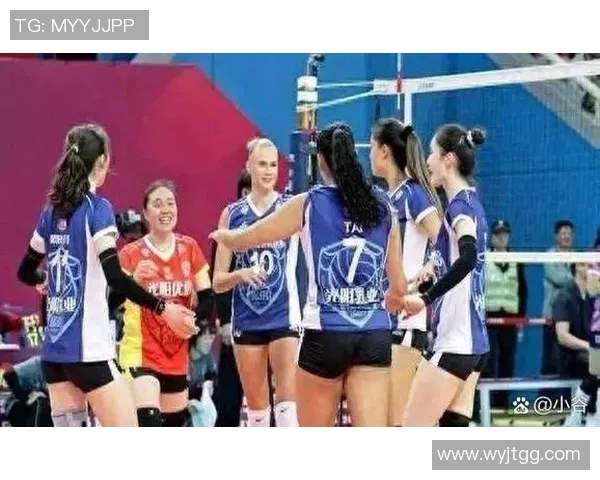 上海排球队战术表现分析与锦标赛精彩点评