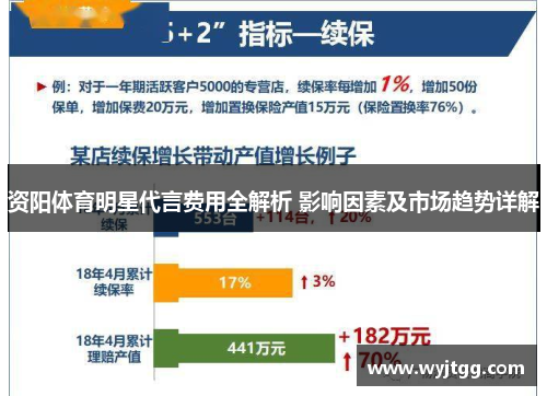 资阳体育明星代言费用全解析 影响因素及市场趋势详解